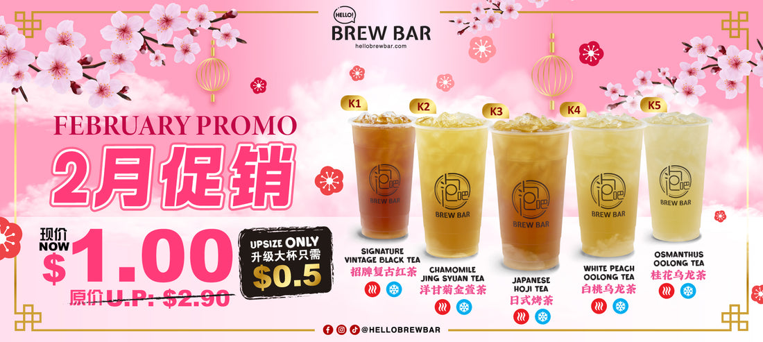 🎉 February Sip-tastic Special! 🎉